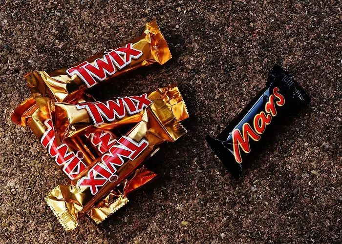 홈스테이 Guest *